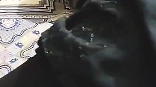 Exchange with Friend Wife Desi Mature Girl Like Duck Part 1