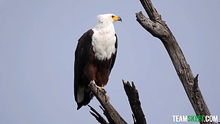 A massage from the inside! special on faphouse