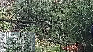 A Real Kick in the Balls