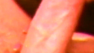 Vanessa the Exciter Pig