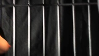 Femdom fetish bitches use bdsm