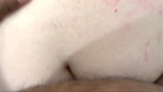 POV sex and blowjob from sweet Farynn Fux