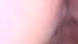 Insemination at User Meetings