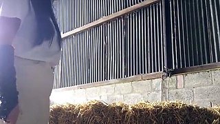FemdomFoto - Mistress Black - The Stable Boy Didn't Do His