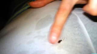 Wet Hairy Pussy - German Amateur Solo Webcam Orgasm