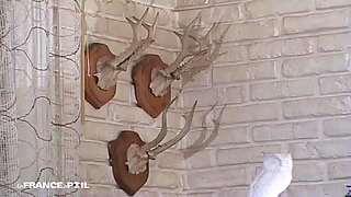 Best StepMother Seduces Well Touching Son s Friend: Big Tits, Teen  Big Ass Porn