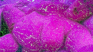 Amazing BBW Webcam Big Boobs Porn Video Livesex Livecam