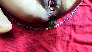 Bengali husband and wife fucking