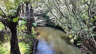 Public Flashing With Lovense Lush