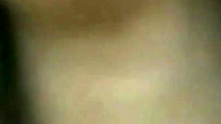 Trailer 491