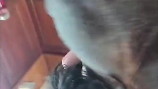 JOI Countdown to My Ass