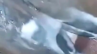 Big Black Cock Fucking Me Wet Fat Pussy Creaming