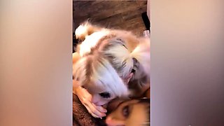 Brunette dominatrix punishes big boobed blonde Bibi Miami