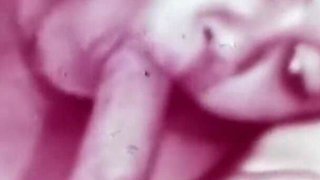 Vintage porn retro erotic theatre - Robins nest