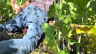 Sasumaa Jamai ke sath outside kheto me romance xxx video