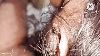 Desi Indian Bhabhi Fucking With Devar In Long Time With Her Titty Pussy