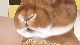 Alice in Wonderland. Giant in the House. True Story.