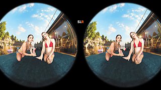 Beach Or Bust (Cgi)