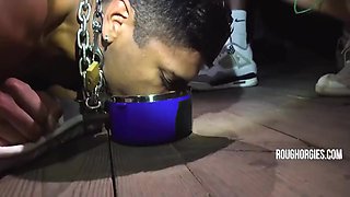 Caged Twink Gets Fucked By Frat Dudes 8 Min With Greyson Lane, Apollo Fates And Johnny Moon