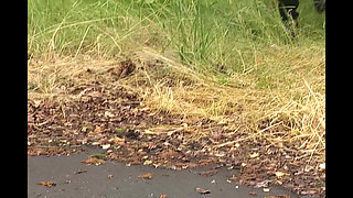 Unhealthy and Sick Minds!!