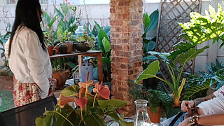 Outdoor fun with my neighbours cuckold wife