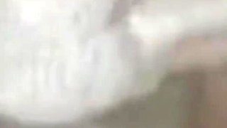 Bbwbootyful BBC Nata4sex fucking my hairy pussy doggy
