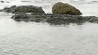 Muscle babe fuck her musle boy