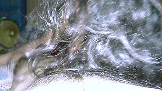 Bangladeshi village Real love challenge stand the another person