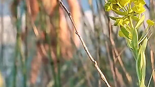 Couple Caught on Camera Having Sex on the Beach