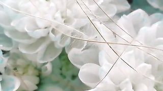 Bouquet of Flowers