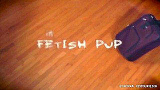 Fetish Pup