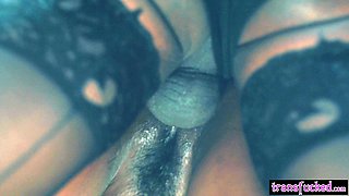 Babe enjoyed hard sex sex with shemale