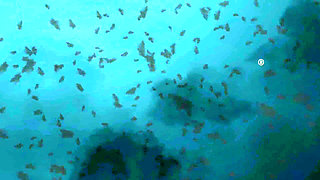 Sheela Sinner Hard Tickling Long Nails Oiled Body Screwdriver Metal Claw Strict Bondage on the Rack Part 2 Fap