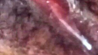 Desi Teen Girl Carrot Masturbation 15