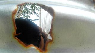 LATIN DELICACIES IN THE CABIN