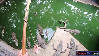 Crocodile feeding and twat pleasing