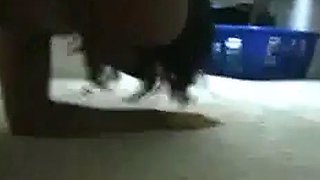Chinese Maid Couple Close-Up Amateur Sex