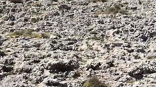 Spontaneous Fuck on the Side of the Road Hungry MILF Gives It Her All