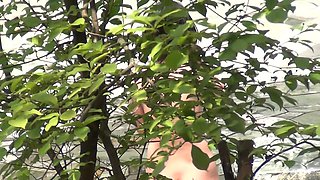 korean panty hunter voyer7