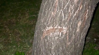secretly watching me expose my naked body while changing behind a tree