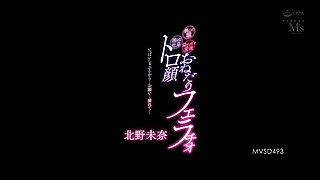 Japanese Asian mature giving blowjob to lucky guy