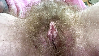 Cigar and hairy bush