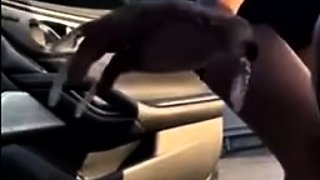 Pretty Sisters Twerk