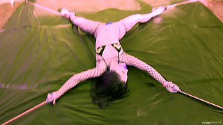 Pinned Down Pussy - Starring: Kristina Rose - PornFidelity