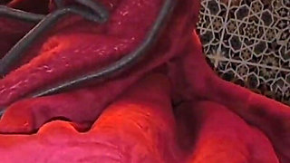 Arab Couple Anal Hard Sex Fuck My Wife