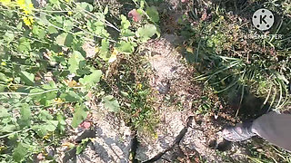 Village desi bhabhi fucked in mustard field in doggy style . Outdoor sex Desi bhabhi with dewar