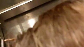 My Fastest Orgasm Ever in a Elevator, Very Risky Amateur MILF Multiple Orgasm Flashing