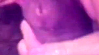 The Gozona Pig Gets Milk