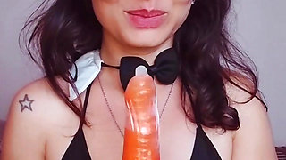Daring bunny