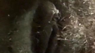 Closeup Stimulating My Pussy with Powerful Egg Vibrator